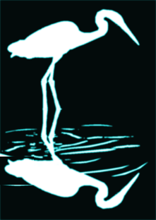 Egret 04