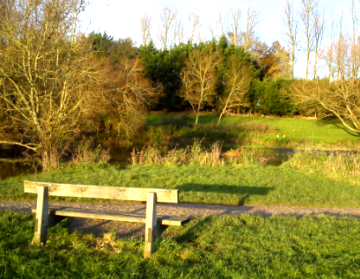 Further Than I can Think 03